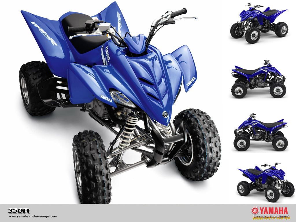 yfm350r, , 